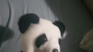 helpfull panda.