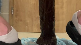 Cockzilla (40 x 7 cm)