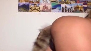 Gatita 