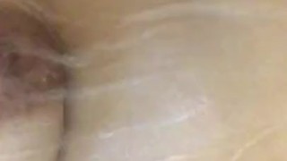 Water and Tits 