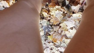Morning Pee Outside In Fall Leaves
