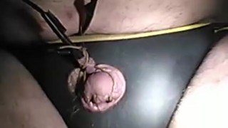 Electo torture my tiny useless penis feel free to humiliate it