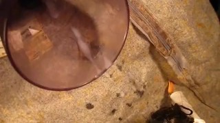 B.B.B. preview: A.Z.(& friends) "Face Splash"(cum only) WMV with Slomo