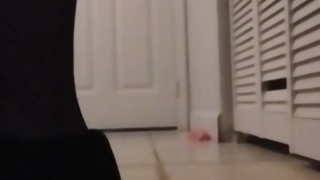 Shake shake ass