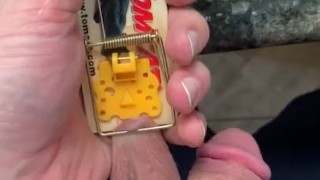 Pierce Paris Puts His Balls In A Mouse Trap