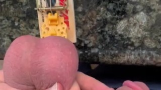 Pierce Paris Puts His Balls In A Mouse Trap