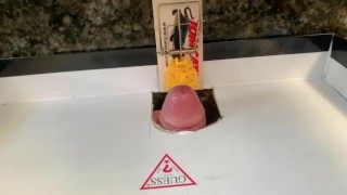 Pierce Paris Puts His Cock In A Mouse Trap