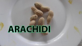 Курс итальянского