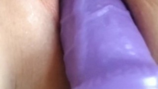 Perfect Day for Pussy Play