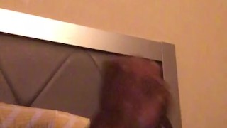 Freee Video Nut For Sale