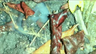 Quick pushing cum out of ass and showing creampie on the ground outdoor