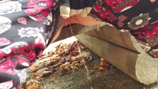 A Piss At The Picnic Table