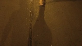 Desnuda en la calle