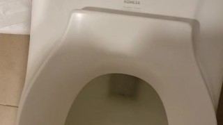 Short standing piss in rest stop toilet - ftm trans
