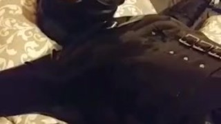 Latex Gas Mask Breath Play Bondage 2