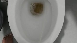 Peeing in my aunt's Bathroom