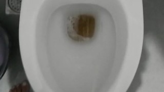 Peeing in my aunt's Bathroom