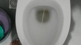 Peeing in my aunt's Bathroom