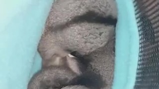 My sugar gliders