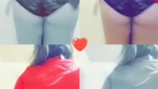 Kitten dancing for daddy