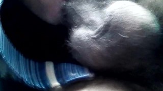 jerking in cat masterbation