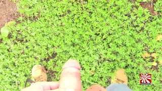Golden Showers Of Hits XXX 10. Al´s War (POV)