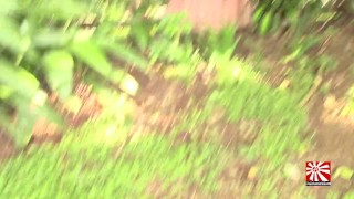 Golden Showers Of Hits XXX 10. Al´s War (POV)