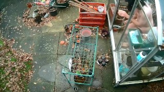 Boy, locked out house naked, has to retrieve spare key from the garden