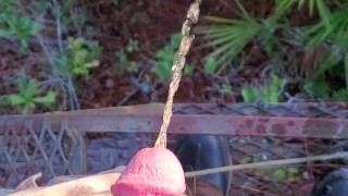 Pissing from the treestand!!!