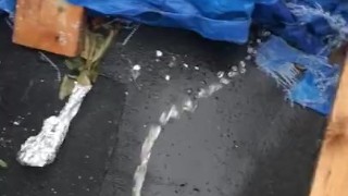 Walking Piss in Nice Clothes