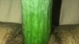 Cucumber fun in the pussy 