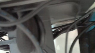 Public_1