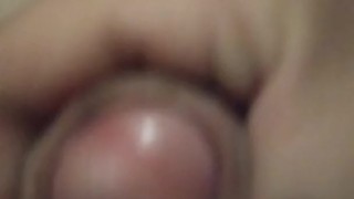 Мой хуец