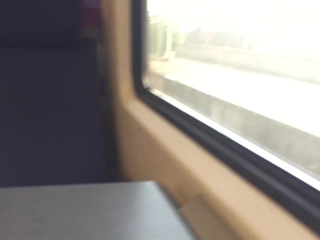 Risky Ride in a Dutch Train Without Panties (public Pussy Flashing) 