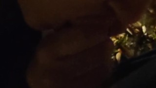 Quickie Outdoor Blowjob