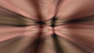 clip photo:21.
