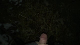 QUICK, RISKY CUM OUTSIDE IN VIEW OF HIGHWAY | VANYA VENIKOV