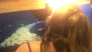 Painting ship on sunset