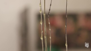 The Pleasure Principle Art Exhibit - A Walkthrough with Asa Akira