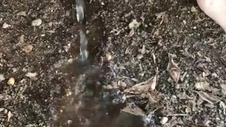 Ftm Pees Outdoors