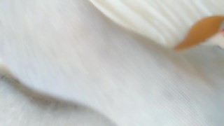 Sniff my long socks POV ( showing christmas socks to the camera lens )