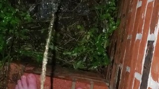 Bare feet pissing in the rain...