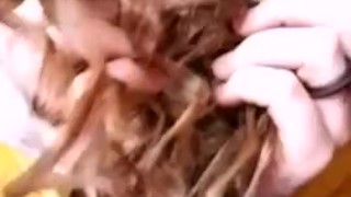 The Queen's hair
