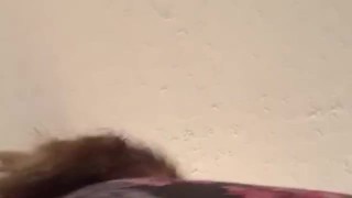 Shaking Ass. 