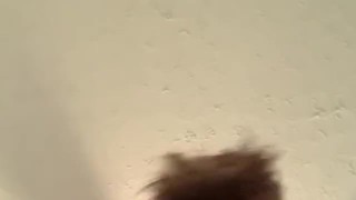 Shaking Ass. 