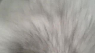 Home alone fun