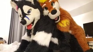 Taiky X Johnny-Huskey MFF’2019