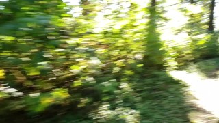 POV Sunny Outdoor Pussy And Grool