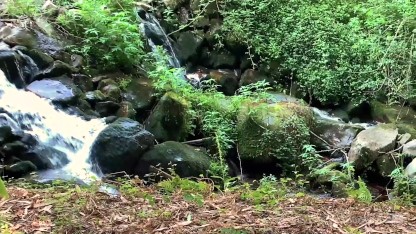 Fisting In Nature - Gay 3 Way Fisting Porn Videos | YouPorn.com