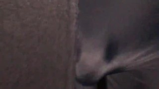 Walking with HUGE BULGE in Public in Tight SPANDEX Shorts